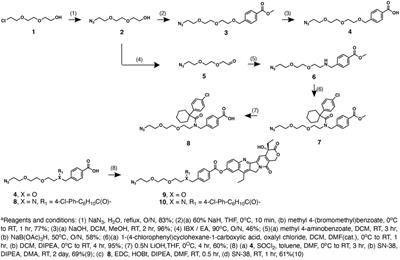 Click Chemistry and Multicomponent Reaction for Linker Diversification of Zinc Dipicolylamine-Based Drug Conjugates